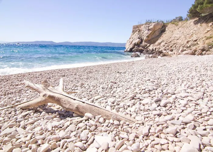 Apartment Botta Mimice